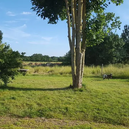펜션 La Maison A Bernard Beaurepaire (Vendee)
